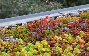 the cost of Laigh Carnduff green roof installation