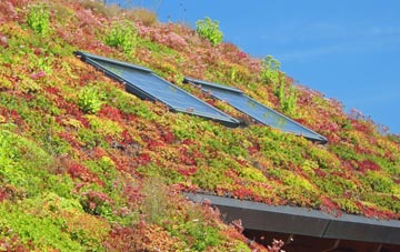 Laigh Carnduff living roof systems